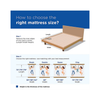 Peps Springkoil Bonnell 6-inch Spring Mattress with Free Pillow