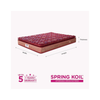 Peps Restonic Bonnell Sanibel Pillow Top 6-inch Spring Mattress with Free Pillow