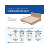 Peps Restonic Carousel 6 inch Pocketed Spring Mattress with Free Pillow