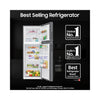Samsung 330 L, 2 Star BESPOKE AI Refrigerator | Twin Cooling System | Multi Flow Cooling Features