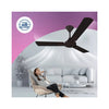 Crompton High Speed Gianna Ceiling Fan | Walnut Brown | Regulator Compatible |