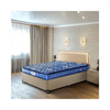 Peps Springkoil Bonnell Pillow Top 6-inch Spring Mattress with Two Free Pillow