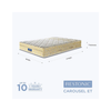 Peps Restonic Carousel Euro Top 6 inch Pocketed Spring Mattress With Free Pillow