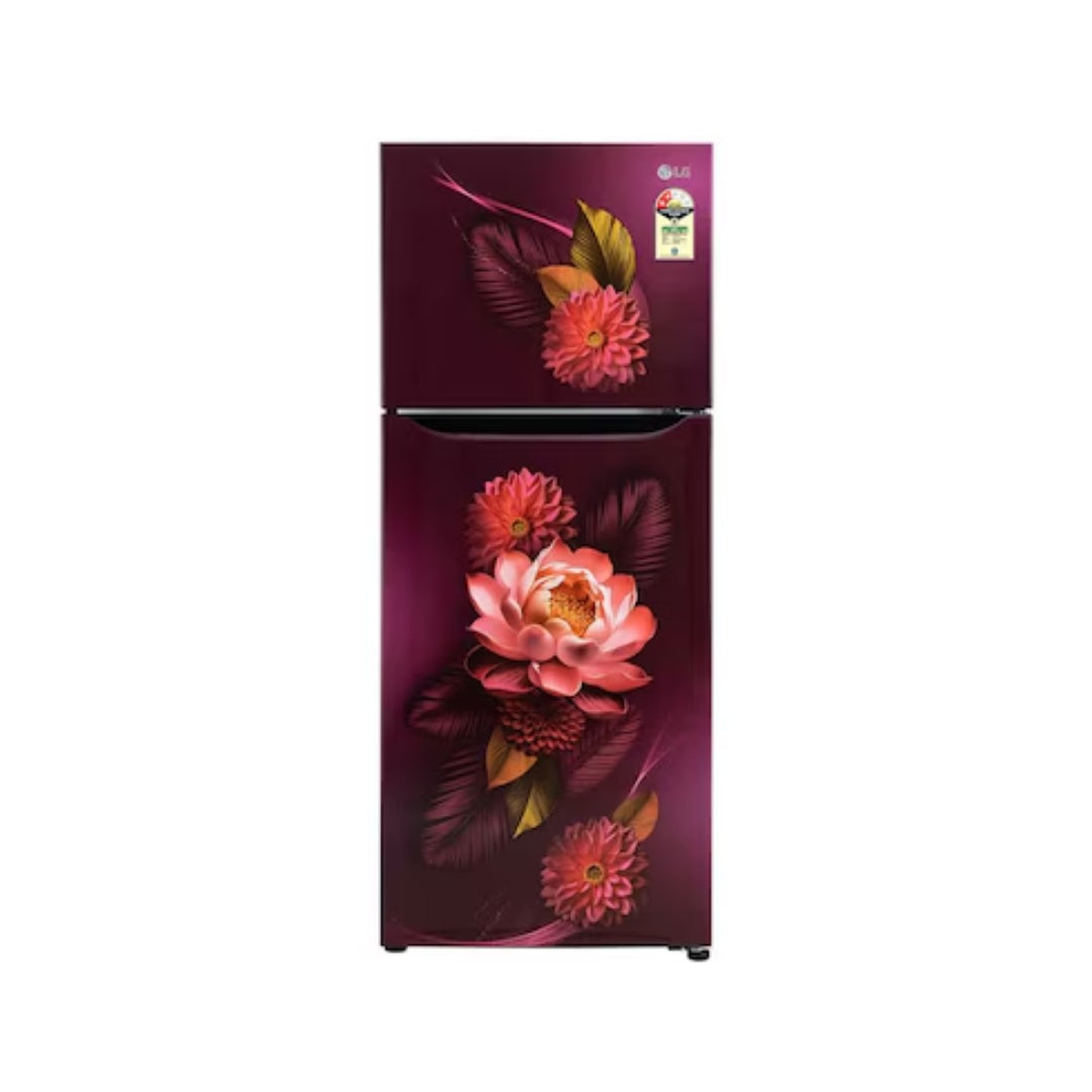 LG_240L_2_Star_Double_Door_Refrigerator_with_Smart_Inverter_Compressor