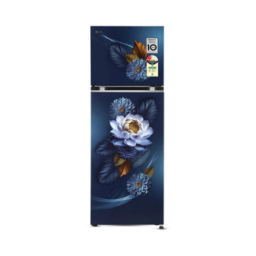 LG_272L_Double_Door_Refrigerator