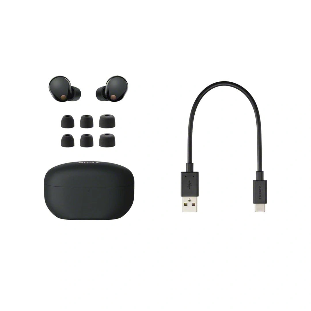 Sony WF-1000XM5 Active Noise Cancelling Wireless Bluetooth in Ear Earbuds with Mic, Up to 36 Hours Battery Life
